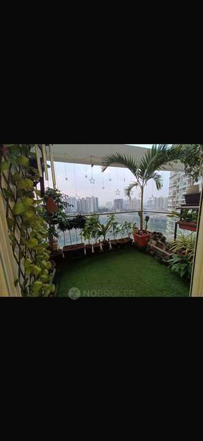 2 BHK Flat In Punevilla for Rent  In Puneville-pharande Spaces