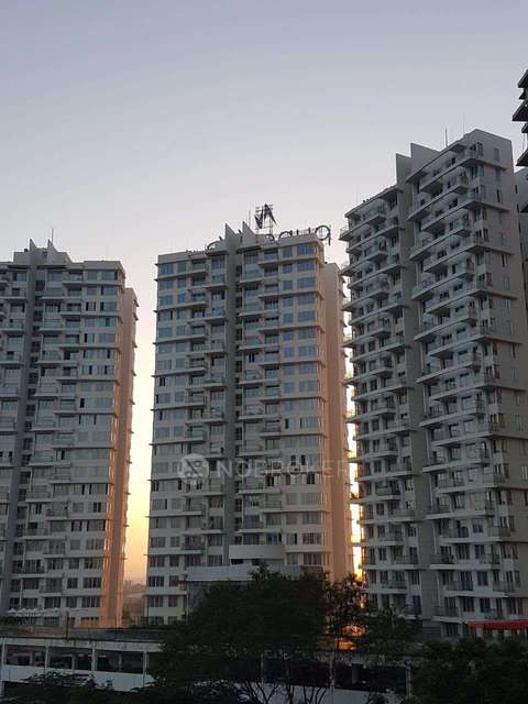 2 BHK Flat In Punevilla for Rent  In Puneville-pharande Spaces