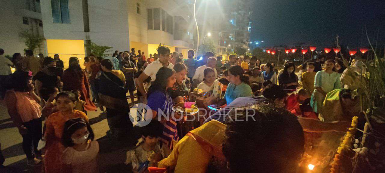 2 BHK Flat In Punevilla for Rent  In Puneville-pharande Spaces