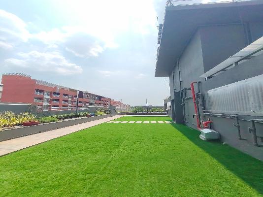 3 BHK Flat In Suyog Siyona for Rent  In Kiwale