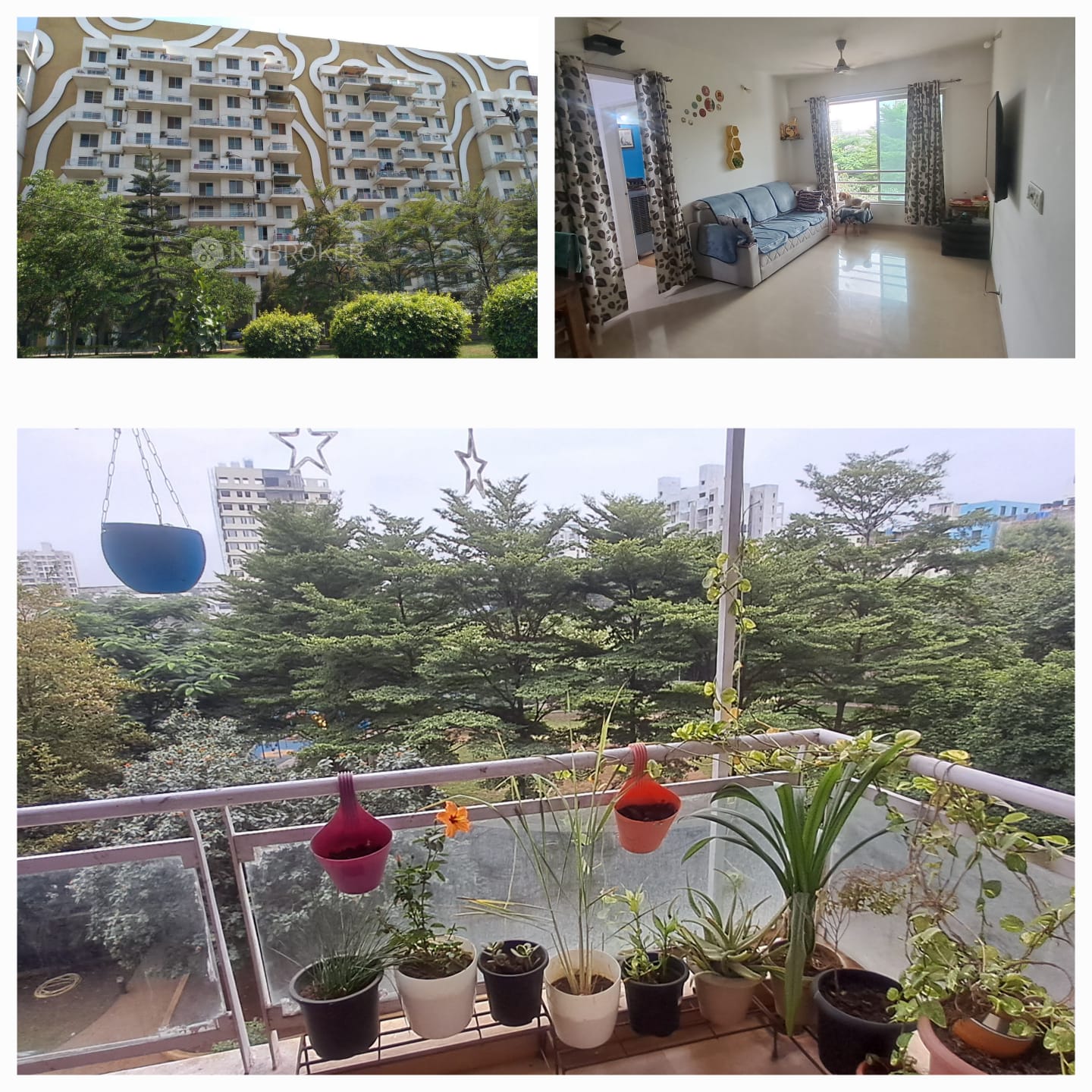 Karia Konark Meadows