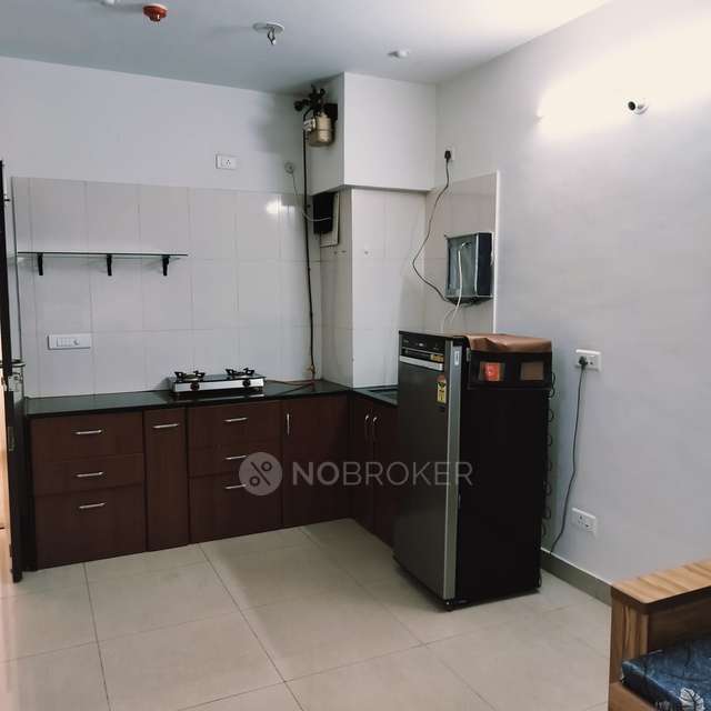 1 BHK Flat In Paranjape Blue Ridge for Rent  In Hinjewadi