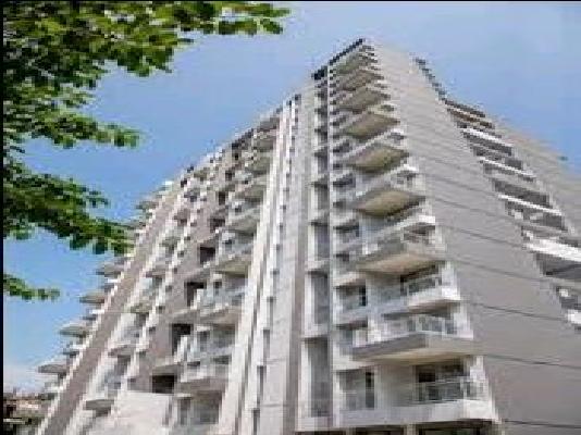 1 BHK Flat In Season Orchide,near World Brighton School,kalyan West for Rent  In Seasons Orchid