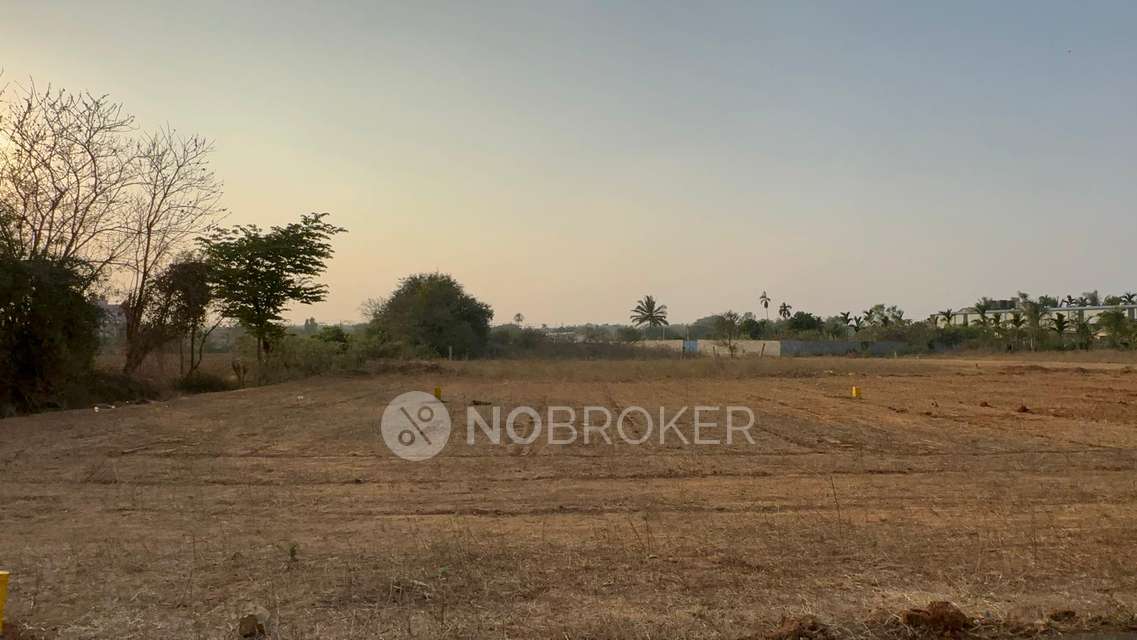Plot For Sale  In Doddaballapura