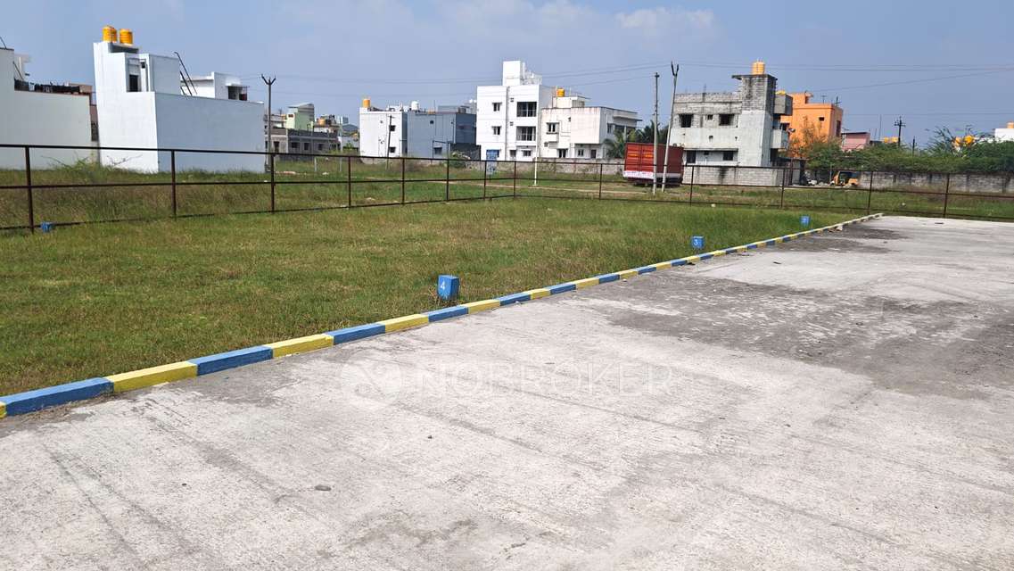 Plot For Sale  In White City In Rb Gothi Jain College For Women