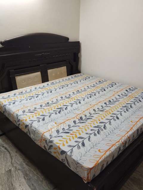 1 BHK Flat In Harihar Apartment, Sultanpur for Rent  In Sultanpur