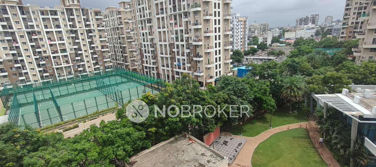2 BHK Flat In Nyati Alliance for Rent  In Wagholi