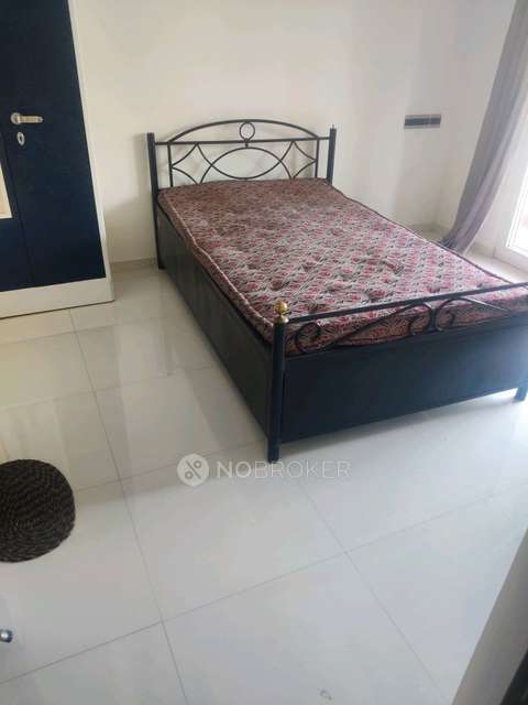 2 BHK Flat In Nyati Evolve Magarpatta City for Rent  In Nyati Evolve