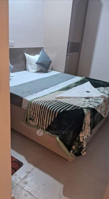 PG for Anyone in Sector 12