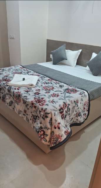 PG for Anyone in Sector 12