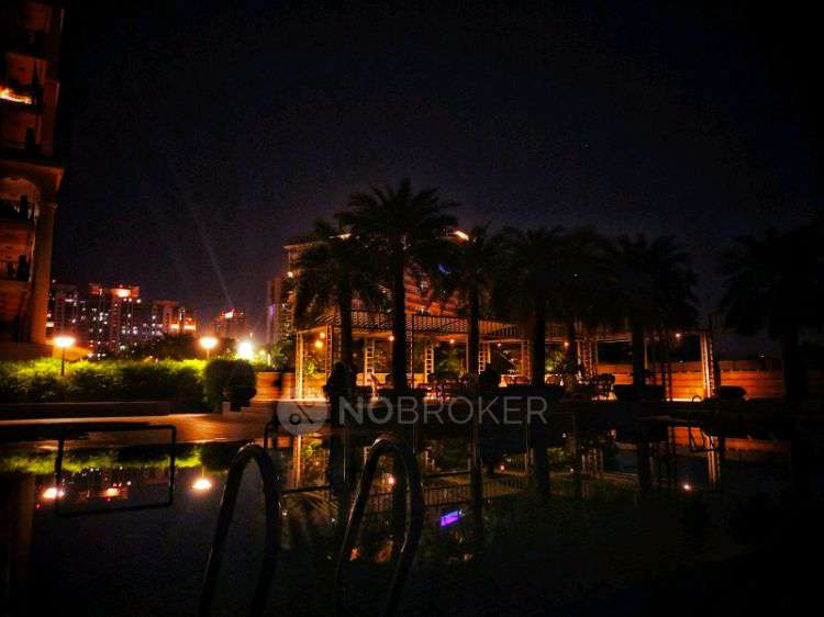 3 BHK Flat In Dlf Sky Court For Sale  In Sector 86