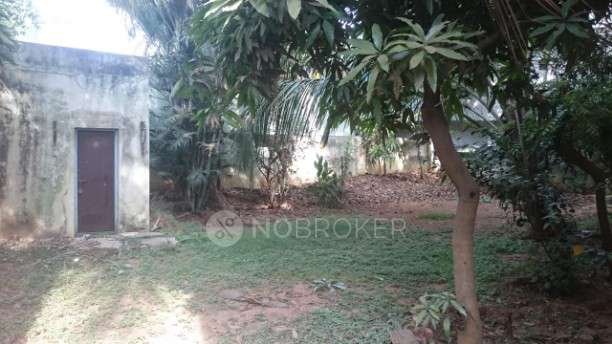 Plot For Sale  In Chikkalasandra