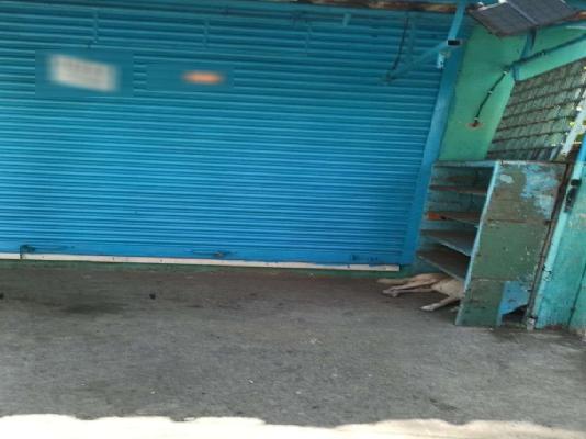 Shop in Injambakkam, Chennai for Rent 
