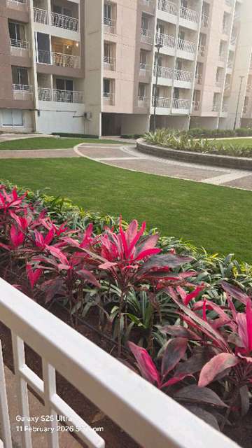 3 BHK Flat In Ashiana Malhar for Rent  In Hinjewadi