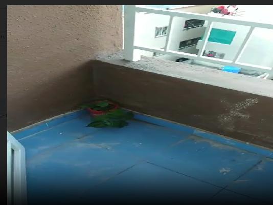 2 BHK Flat In Marigold Apartment Dighi For Sale  In Dighi