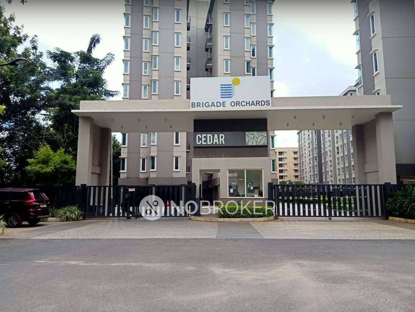 2 BHK Flat In Brigade Orchards Cedar for Rent  In Brigade Orchards Cedar