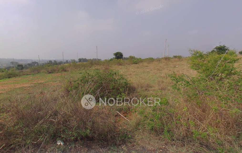 Plot For Sale  In Talakaveri Housing Society In Peddanapalya