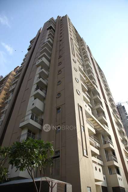 3 BHK Flat In Sikka The Nest for Rent  In Sector 143