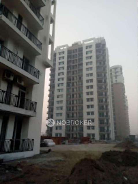 3 BHK Flat In Sikka Karnam Greens for Rent  In Sector 143b