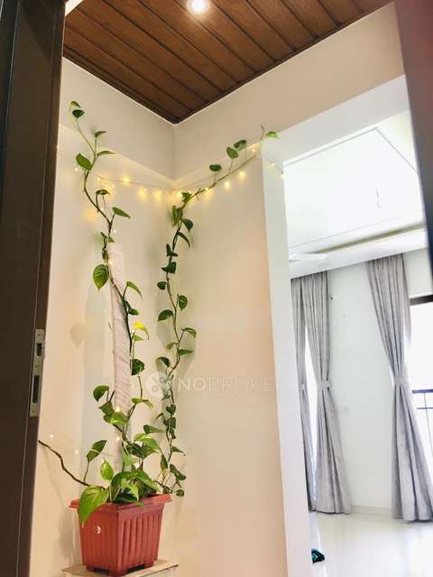 2 BHK Flat In Siddhashila Eela for Rent  In Sishsheela Eela