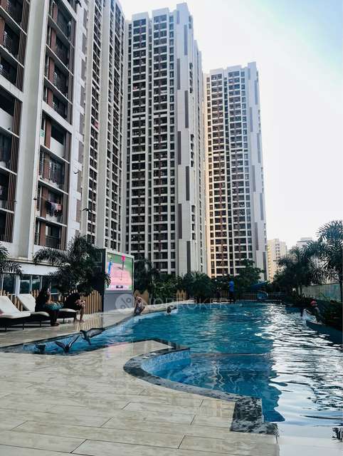 Single Room for Male In 2 BHK  In Micl Aaradhya High Park In Mira Road East