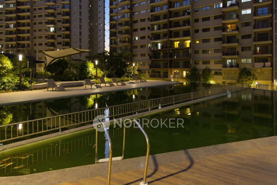 4 BHK Flat In Shapoorji Vanaha, Bavdhan for Rent  In Bavdhan