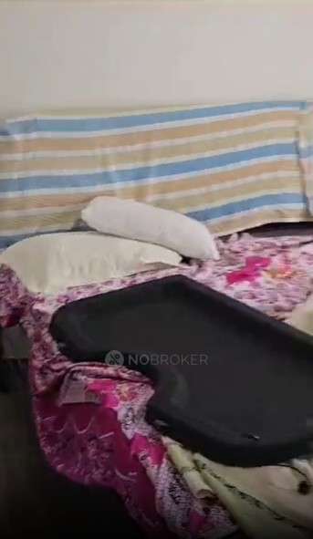 2 BHK Flat In Tirupati Mount Vista for Rent  In Wadegaon