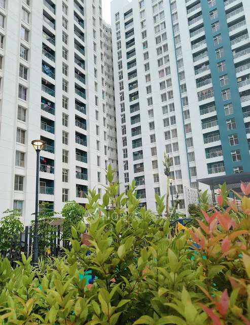 2 BHK Flat In Pegasus Megapolis Serenity for Rent  In Pimpri-chinchwad