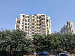 Single Room for  In 2 BHK  In Amrapali Golf Homes In Sector 4