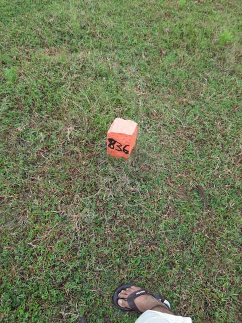 Plot For Sale  In New Gowshik City In Kilandurai