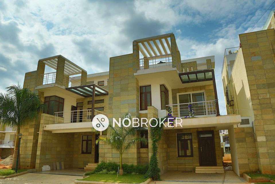 3 BHK Flat In Divi Lotus for Rent  In Sai Serenity Layout