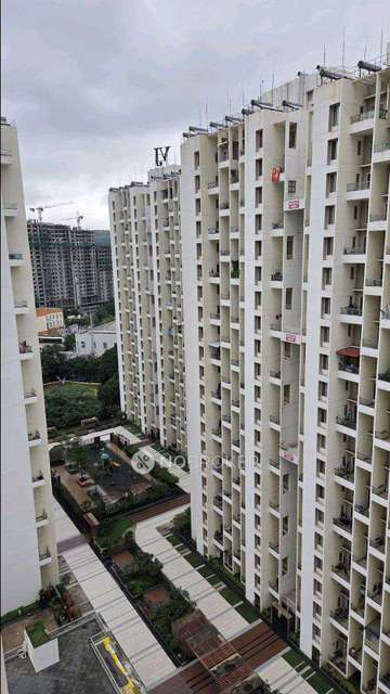 2 BHK Flat In Vj Yashwin for Rent  In Hinjawadi