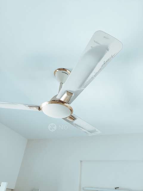 1 BHK Flat In Olympia Opaline for Rent  In Navalur