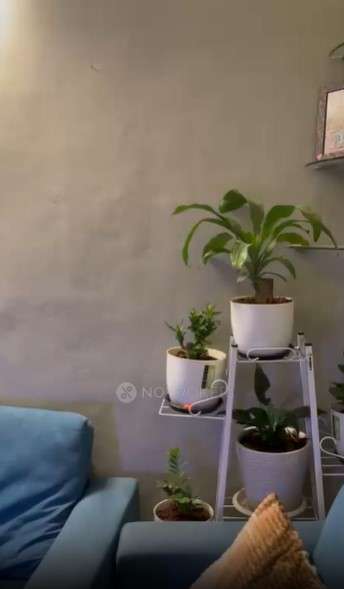 1 BHK Flat In Sankalpa Siddhi  for Rent  In Pimpri-chinchwad