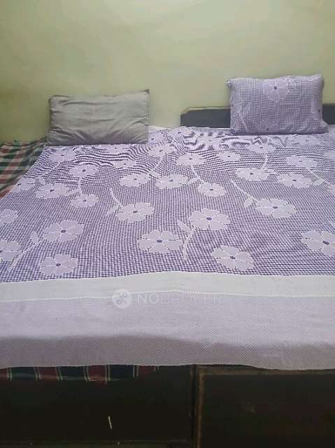 Single Room for Female In 2 BHK  In  East Of Kailash
