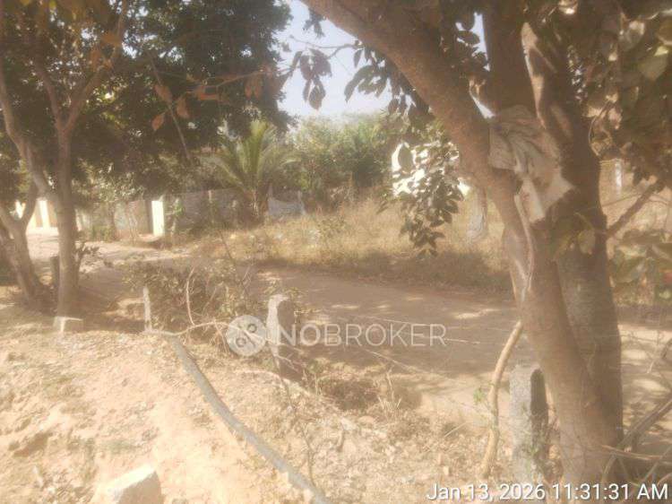 Plot For Sale  In Kitthanahalli