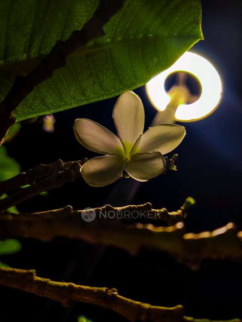 3 BHK Flat In Aurigaa Gk Aryaban for Rent  In Ravet