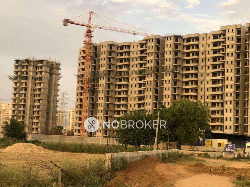 3 BHK Flat In Pyramid Alt for Rent  In Sector 70