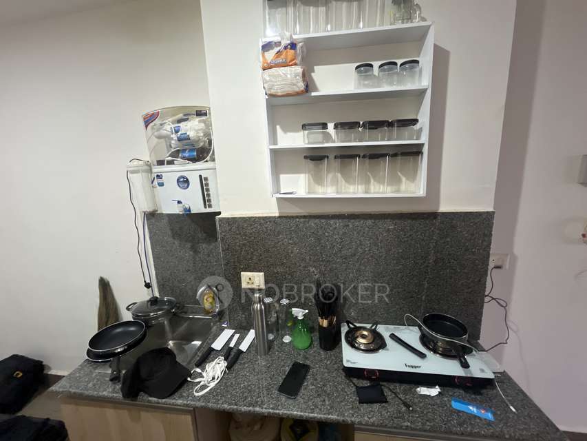 Shared Room for Male In 1 RK  In Gaur City Galleria, Noida Extension In Gaur Yamuna City Krishn Vilas