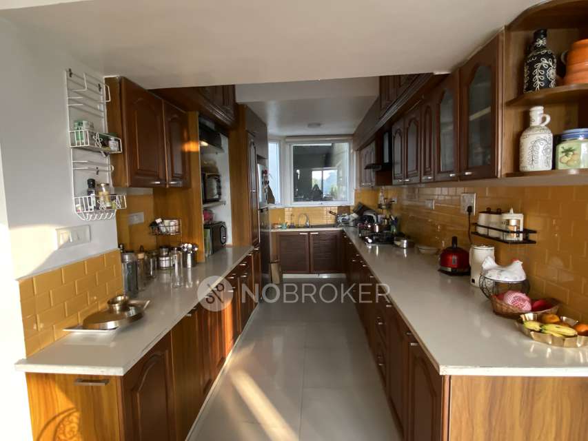 3 BHK Flat In Pwo Housing Complex,  Sector 43 for Rent  In  Sector 43