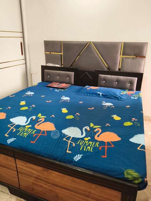 2 BHK Flat In Divyansh Onyx, Shahpur Bamheta for Rent  In Shahpur Bamheta