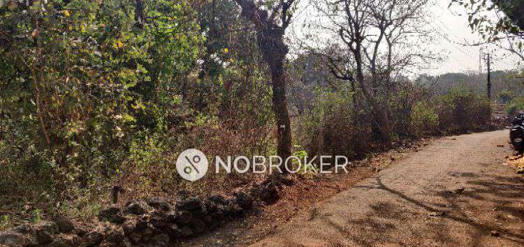 Plot For Sale  In Sindhudurg