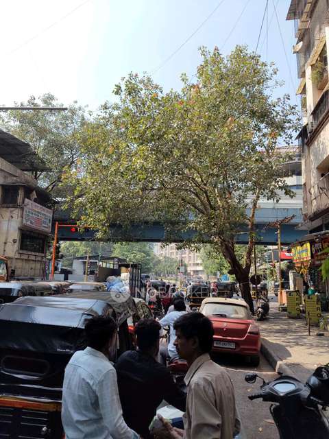 1 BHK Flat In New Kadambari Charai for Rent  In Charai, Thane West