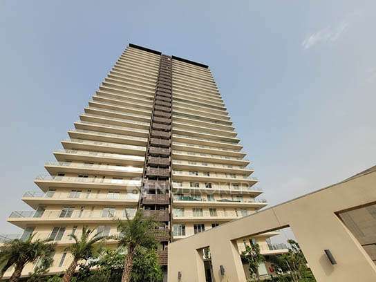 2 BHK Flat In Pyramid Midtown, Sector 59, Gurgaon for Rent  In Sector 59, Gurgaon