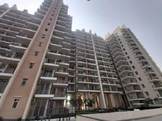 1 BHK Flat In Apartment  for Rent  In Sector 79