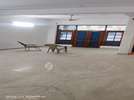 1 BHK House for Rent  In Sector47
