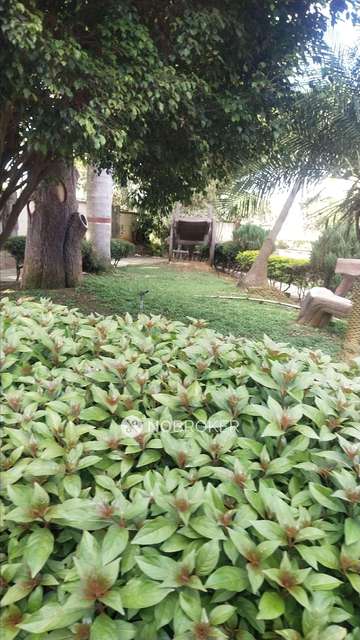 2 BHK Flat In Confident Althena For Sale  In Sarjapur