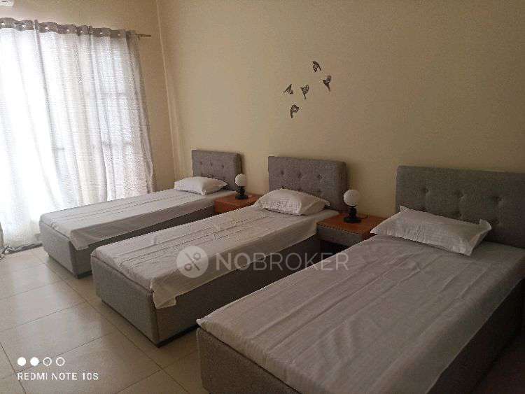 PG for Boys in Sector 76