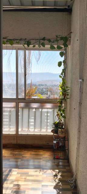 1 BHK Flat In Majestique 38 Park For Sale  In Undri