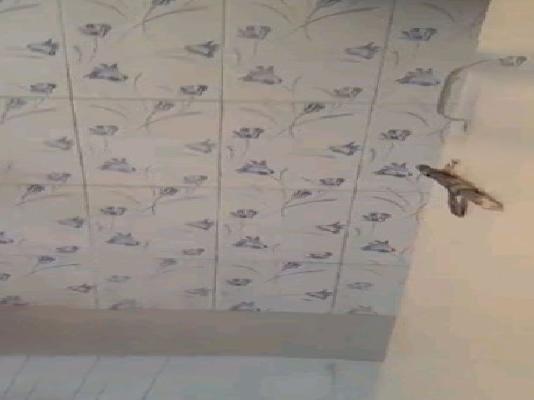 2 BHK Flat In Yashda Square , Pimple Saudagar  for Rent  In Hqxx+f4g, Kate Vasti Pimple Saudagar, Pimple Saudagar, Pimpri-chinchwad, Maharashtra 411027, India